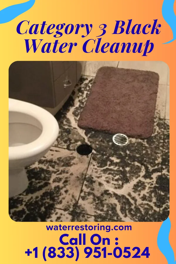 Category 3 Black Water Cleanup in Milton, IL