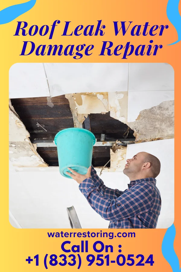 Roof Leak Water Damage Repair in Milton, IL