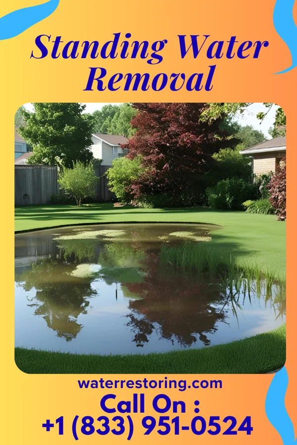 Standing Water Removal in Milton, IL